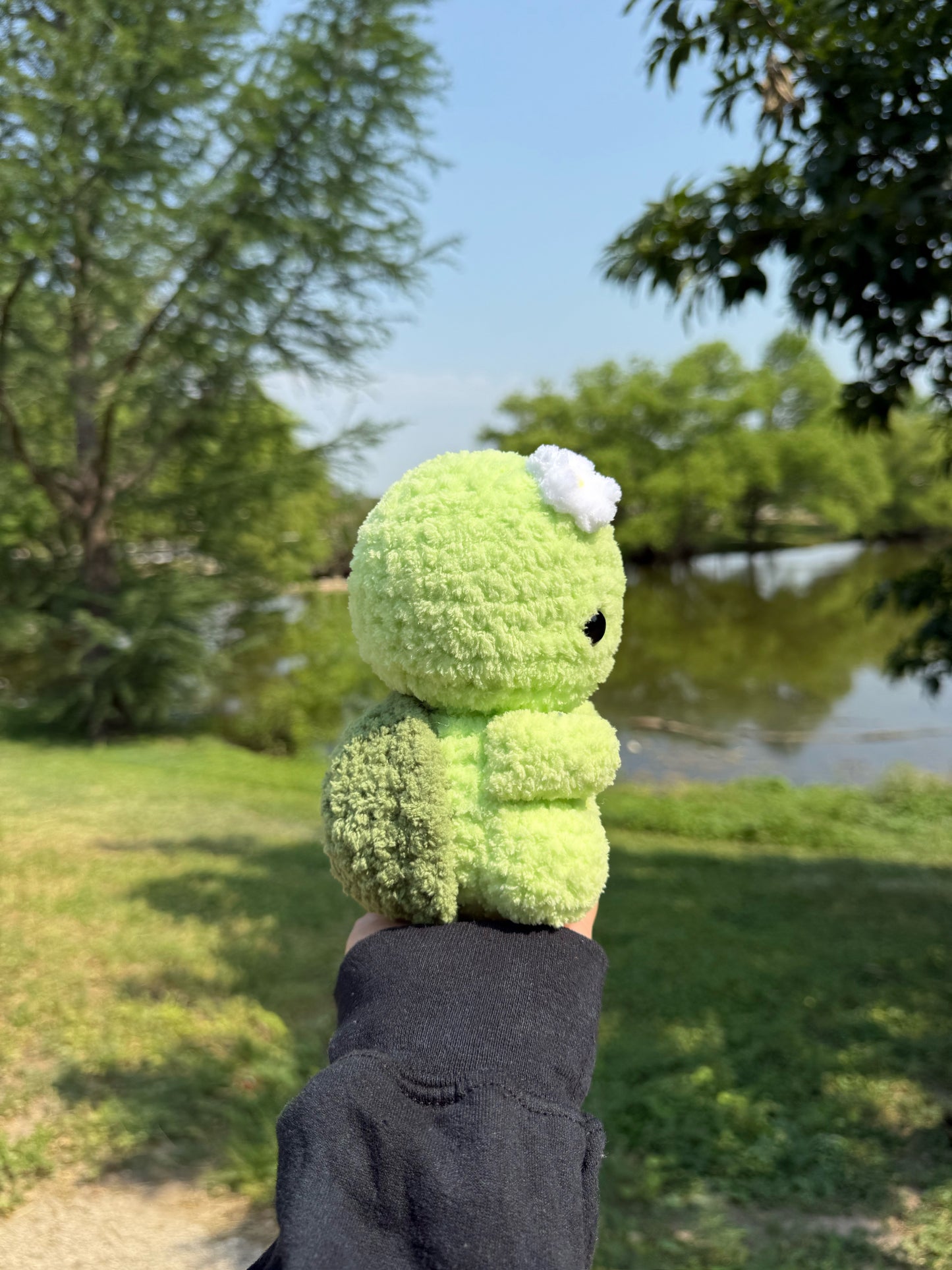Baby Turtle Crochet Pattern