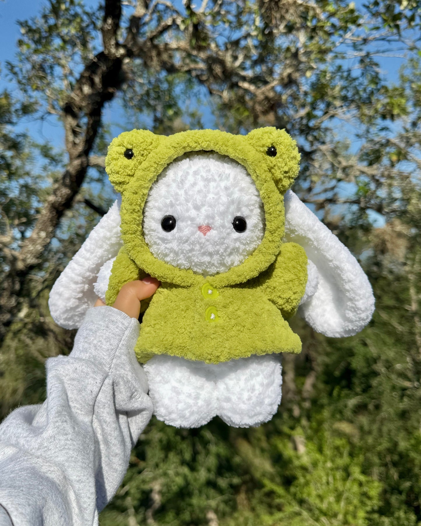 Crochet Frog Raincoat Bunny Plushie