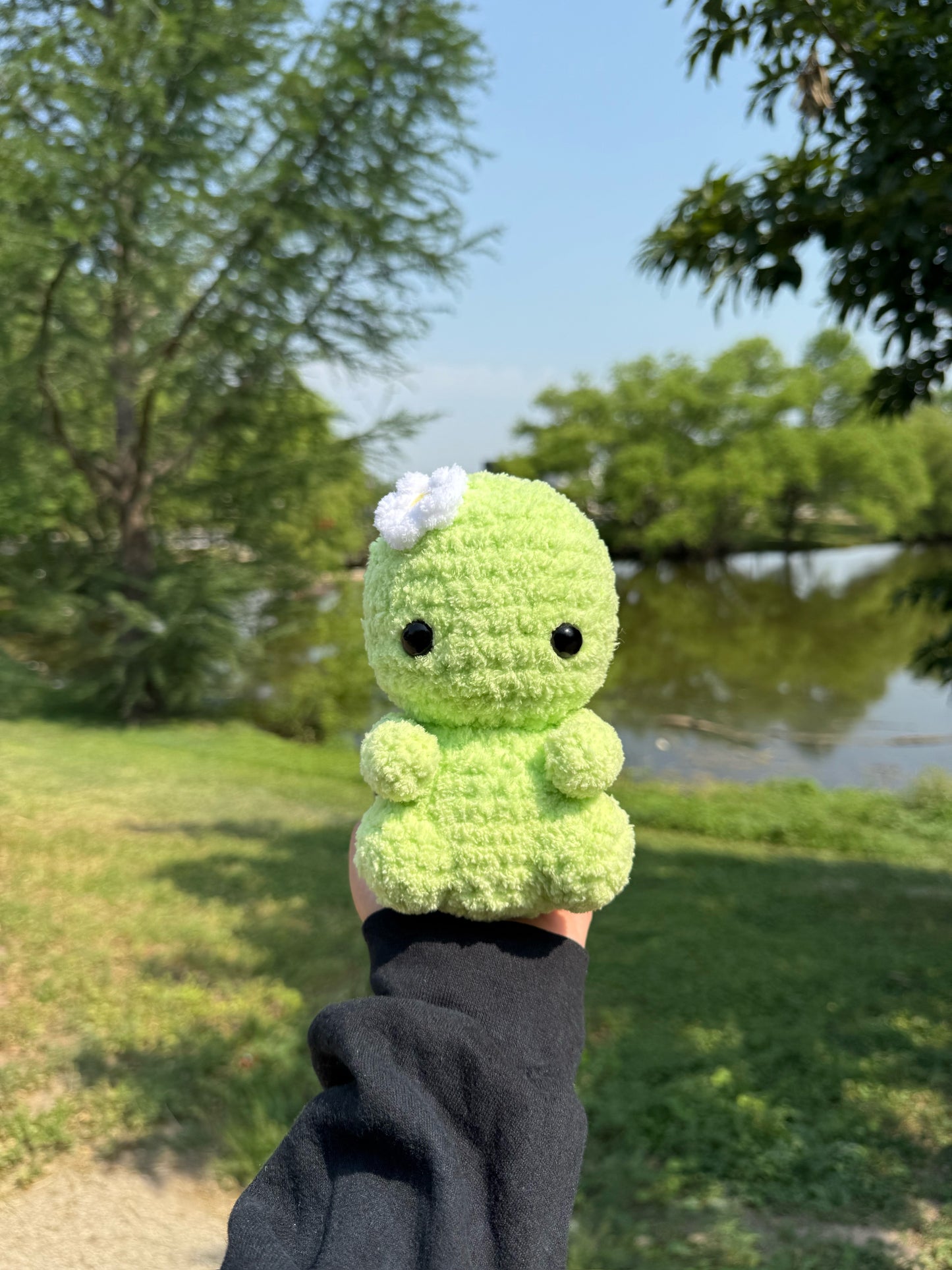 Baby Turtle Crochet Pattern